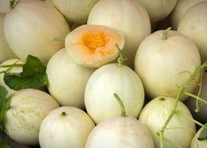 四川人吃白兰瓜视频教程,白兰瓜的独特吃法揭秘