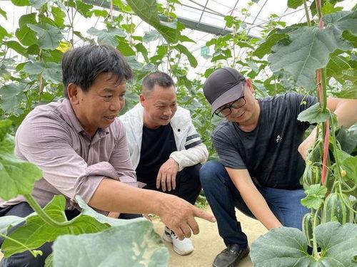 朱亭吃瓜最新视频,揭秘幕后故事，带你领略娱乐圈风云