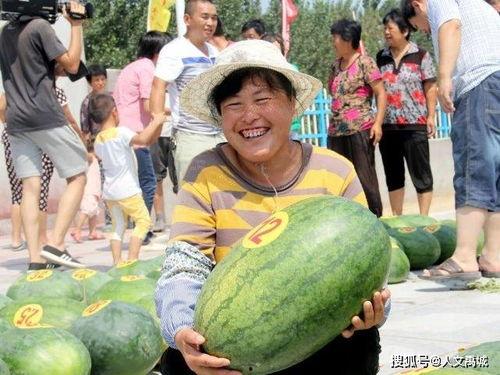 山东沙河吃瓜事件视频,一场引发热议的网络奇观