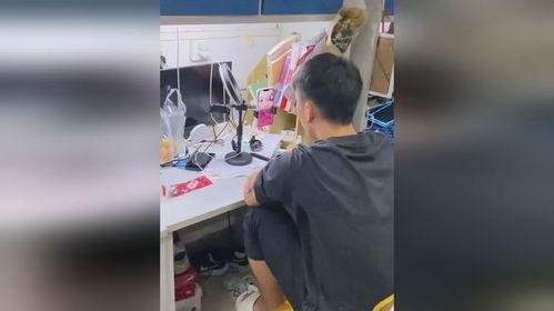 男子吃瓜飙车视频大全,视频大全引发网友热议