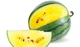 带你吃瓜视频素材,热门视频素材背后的故事