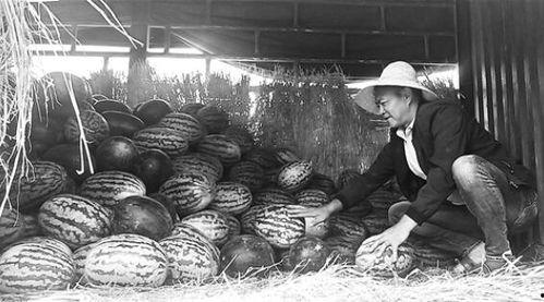 承德吃瓜群众事件视频,揭秘网络围观背后的真相